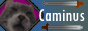 caminus quest