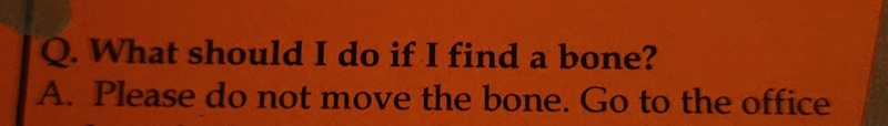 text: Q. What should I do if I find a bone? A. Please do not move the bone. Go to the office